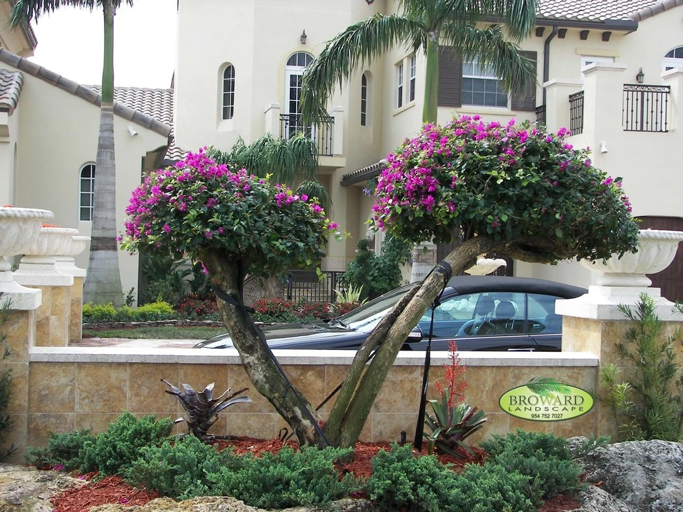 Modern Landscape by Broward Landscape, Inc. - Photo 3
