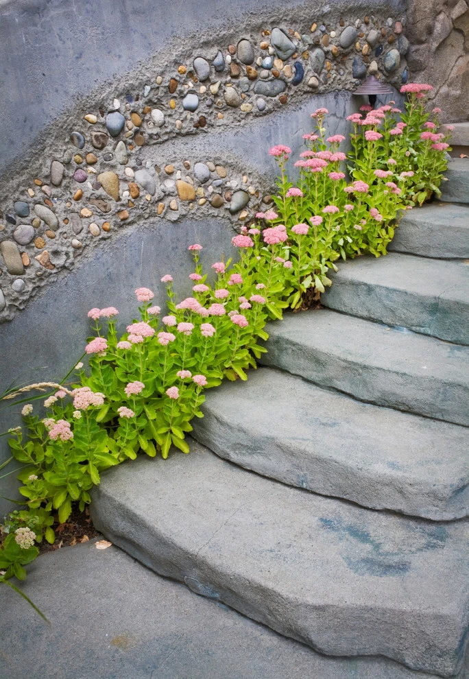 Quirky Queen Anne Garden by Cambium Inc. - Photo 2