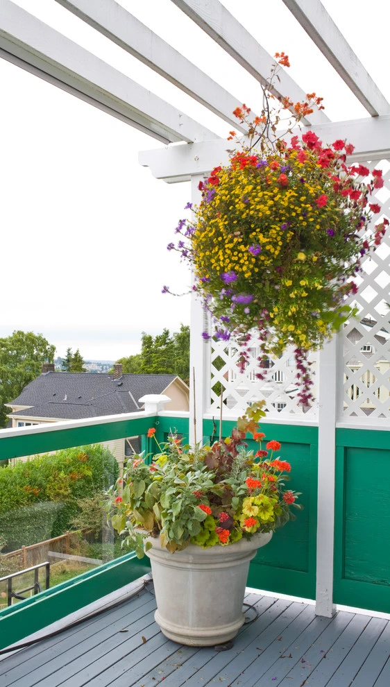 Quirky Queen Anne Garden by Cambium Inc. - Photo 3