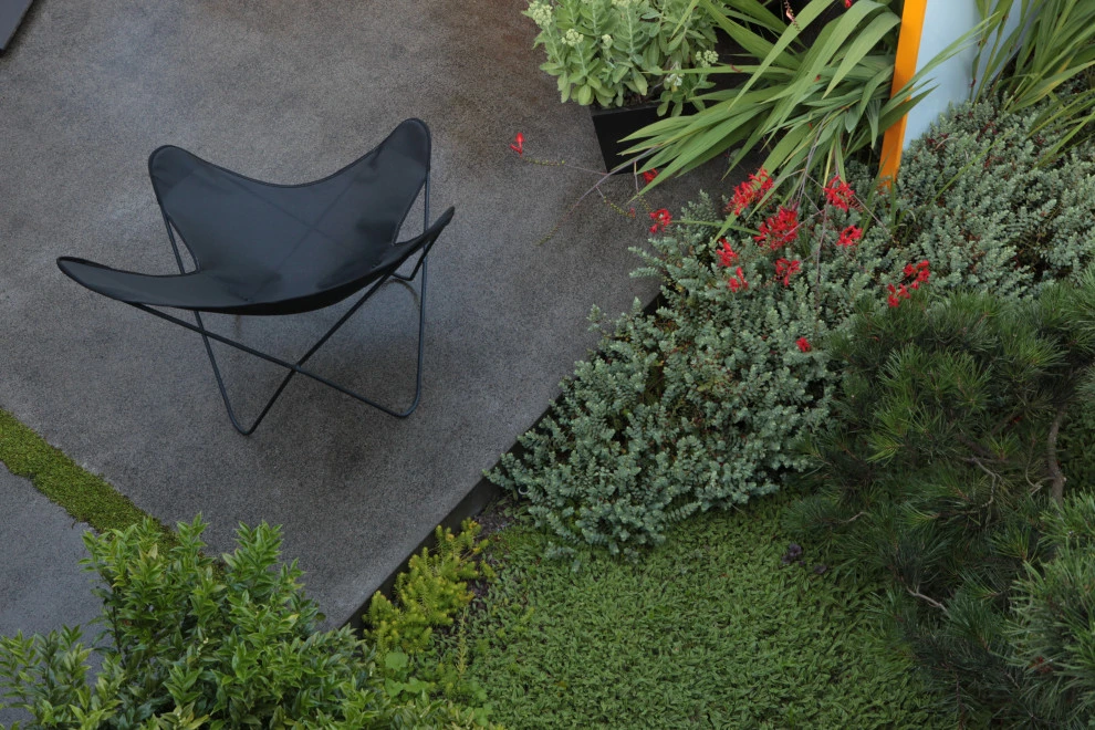 Modern Courtyard by Cambium Inc. - Photo 8