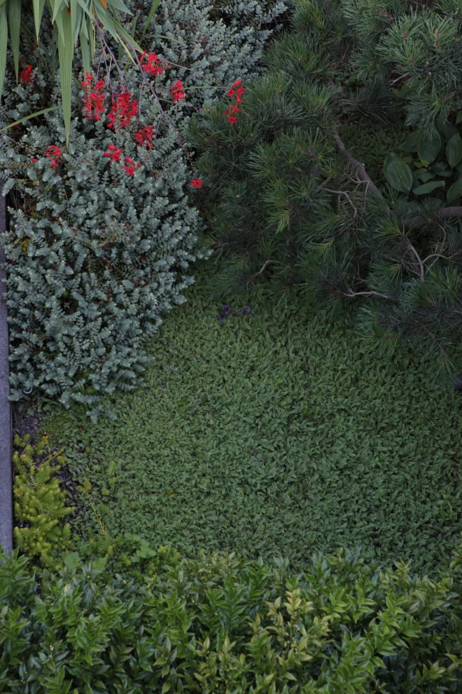 Modern Courtyard by Cambium Inc. - Photo 4