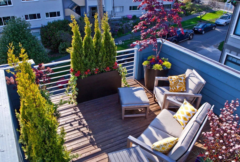 Eclectic Small Townhouse Courtyards by Cambium Inc. - Photo 6