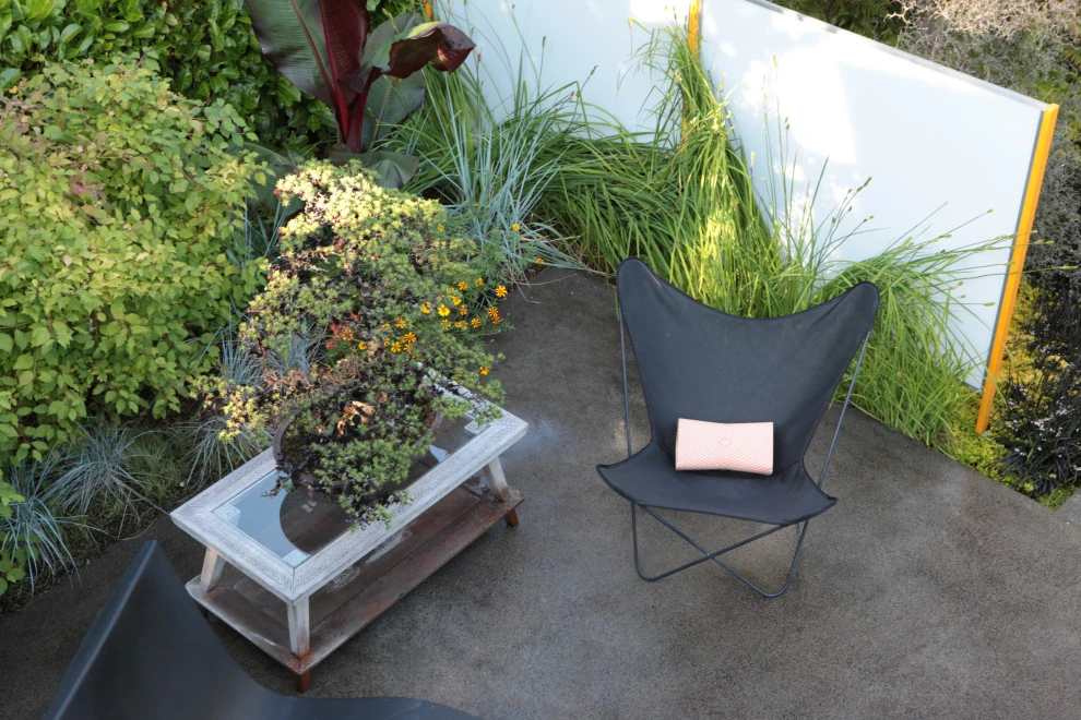 Modern Courtyard by Cambium Inc. - Photo 5