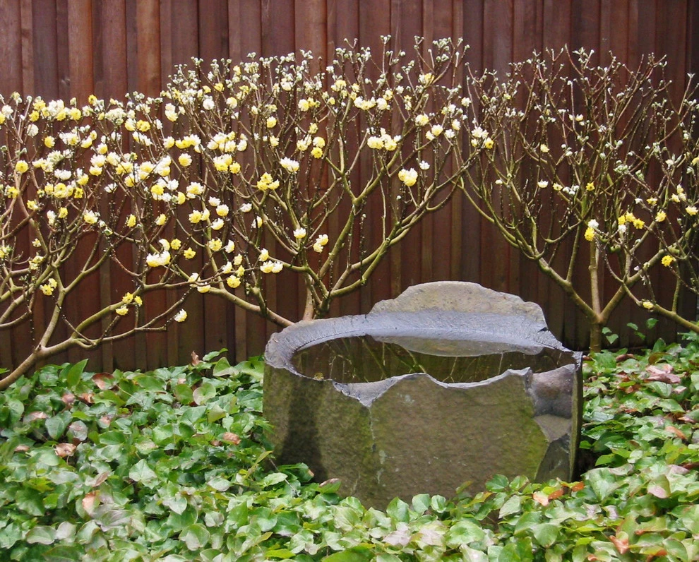 Fountains by Cambium Inc. - Photo 2