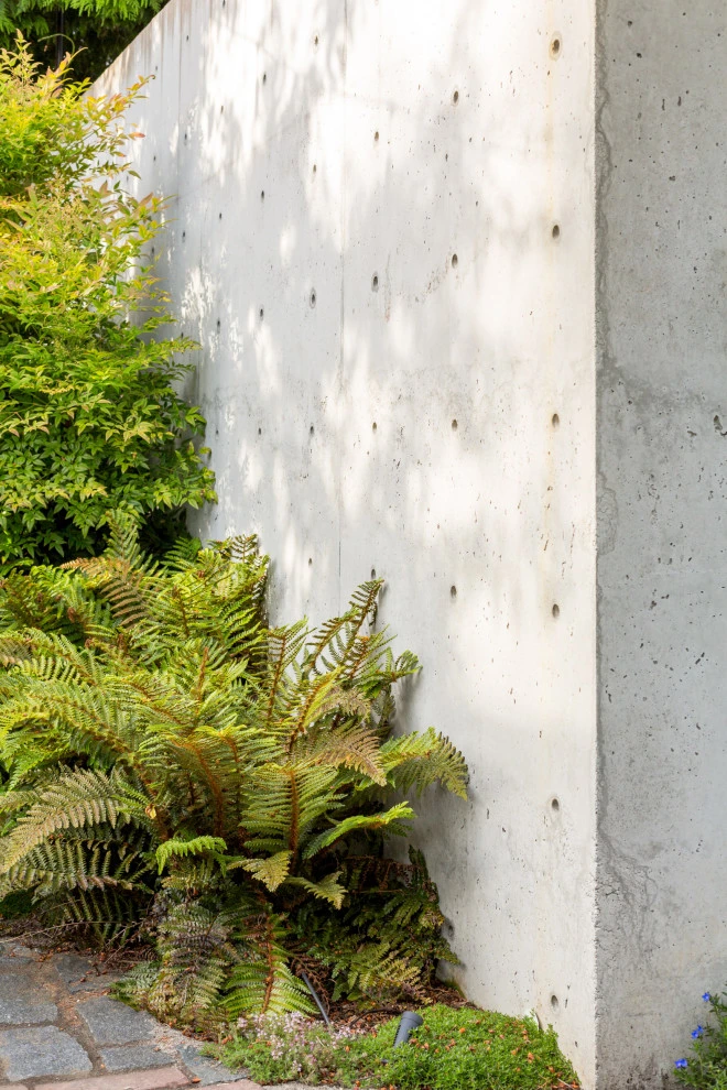 Mid-century Meets Modern by Cambium Inc. - Photo 14