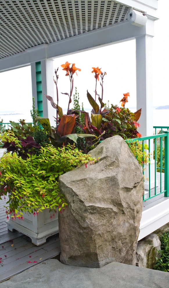 Quirky Queen Anne Garden by Cambium Inc. - Photo 5