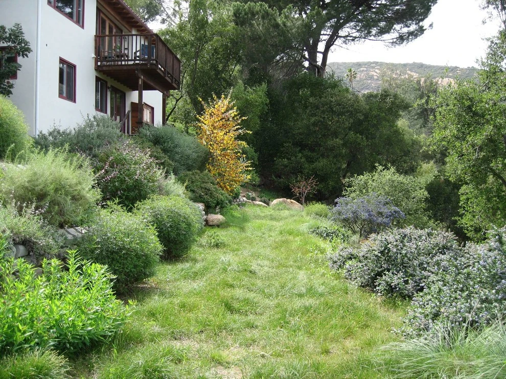 Hillside Garden by Campion Walker Landscapes - Photo 3