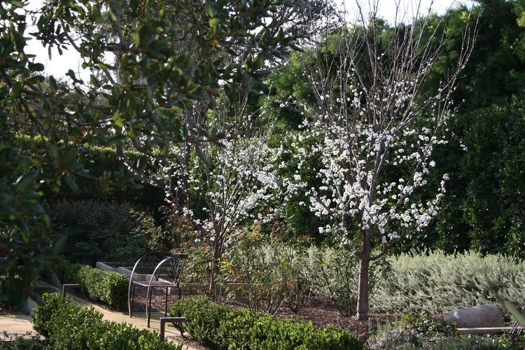 Modern Tranquility by Campion Walker Landscapes - Photo 9