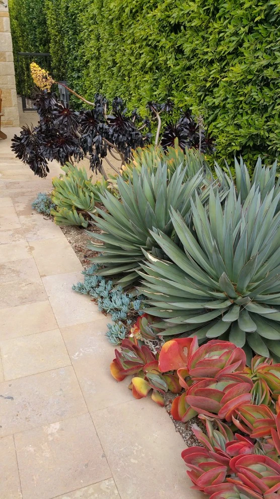 Modern Tranquility by Campion Walker Landscapes - Photo 4