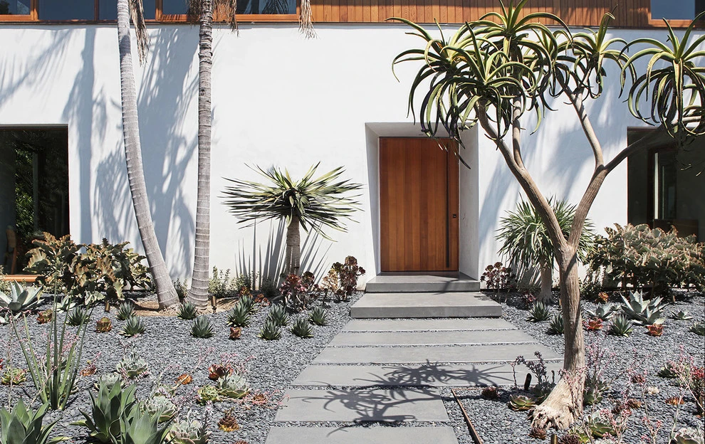 Hollywood by Campion Walker Landscapes - Photo 9