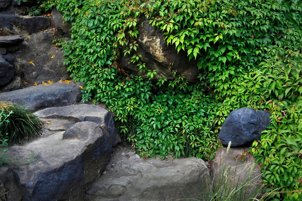 Topanga Retreat by Campion Walker Landscapes - Photo 5