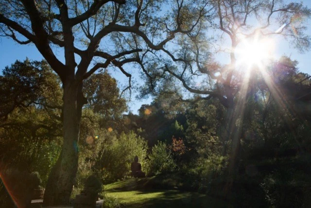 Topanga Retreat by Campion Walker Landscapes - Photo 16