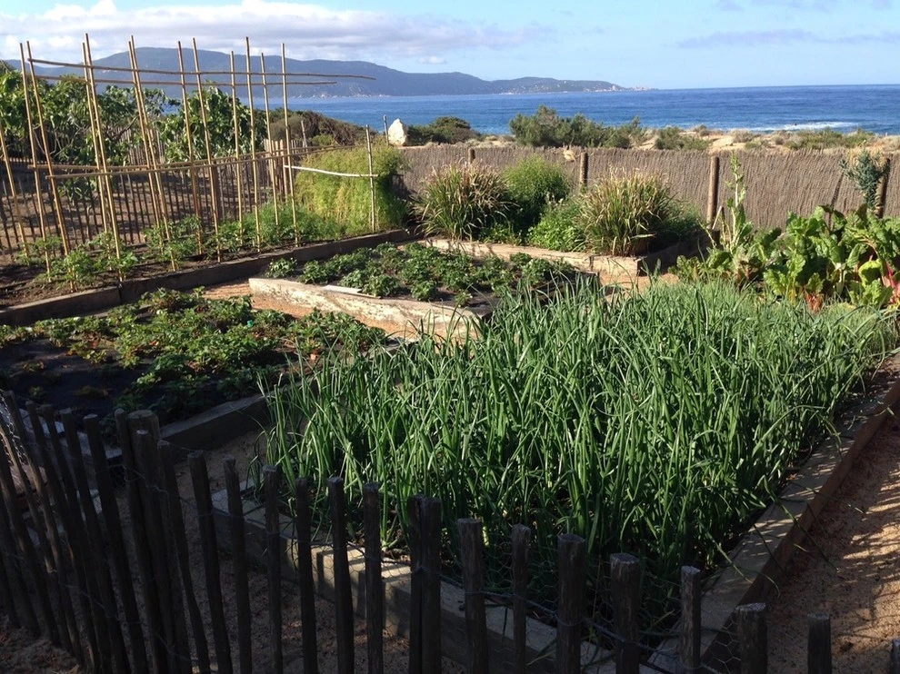 Corsica by Campion Walker Landscapes - Photo 10