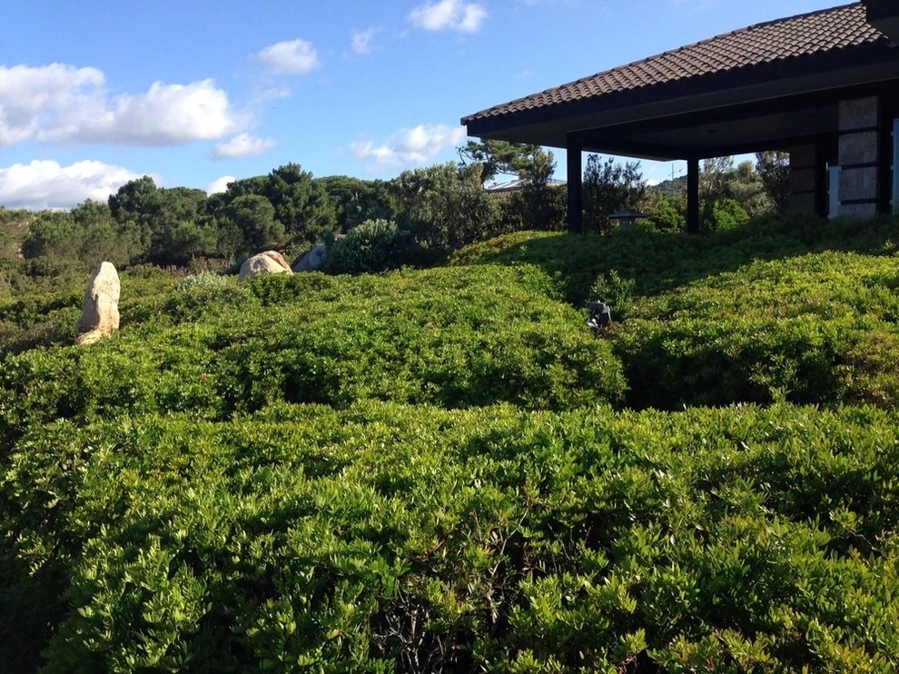 Corsica by Campion Walker Landscapes - Photo 3