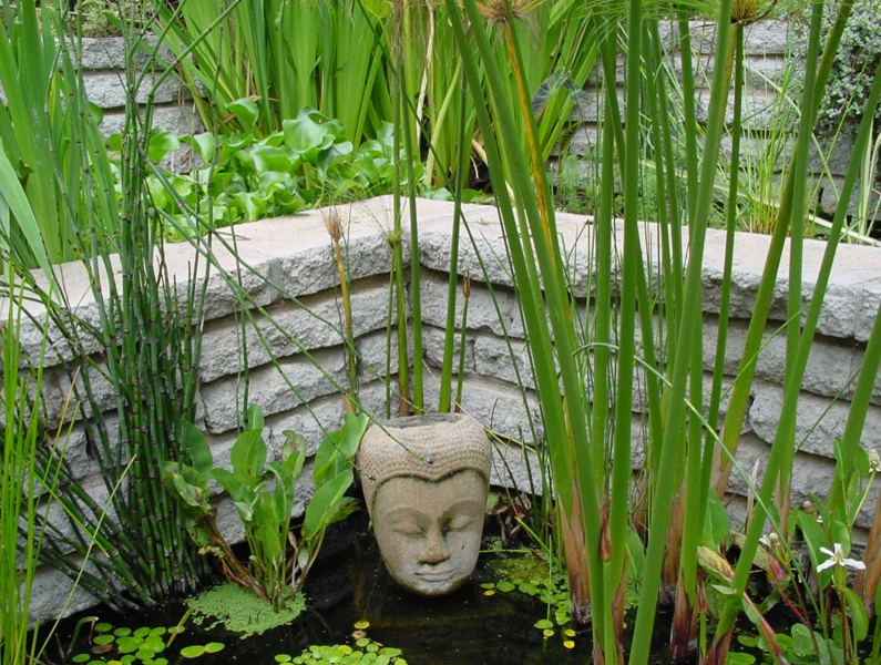 Rustic Canyon Garden by Campion Walker Landscapes - Photo 3