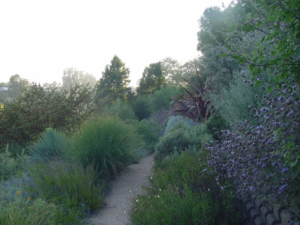 Campion Walker Landscapes - Photo 11
