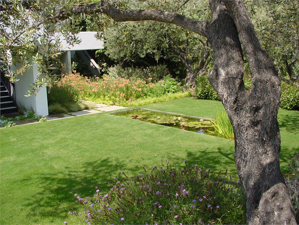 Bel Air Garden by Campion Walker Landscapes - Photo 10