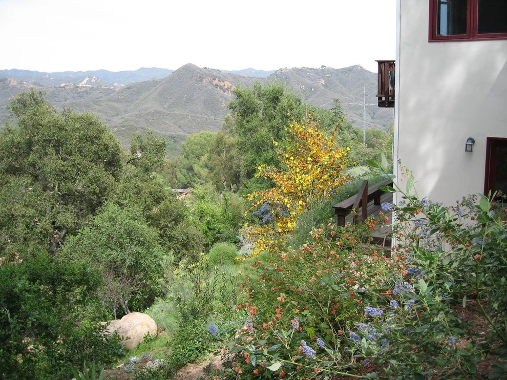 Hillside Garden by Campion Walker Landscapes - Photo 5