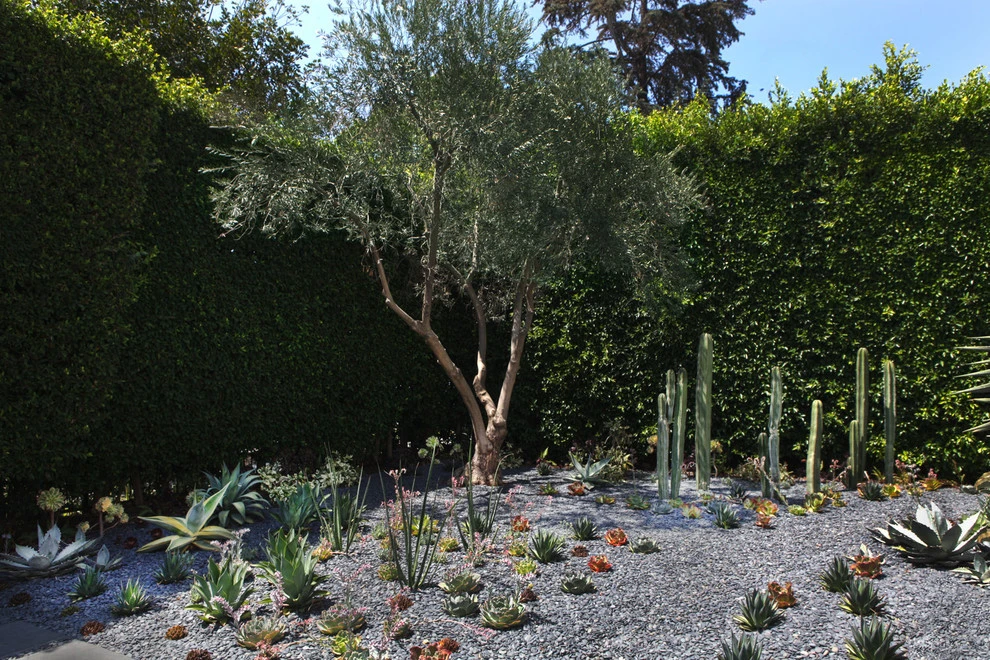 Hollywood by Campion Walker Landscapes - Photo 2