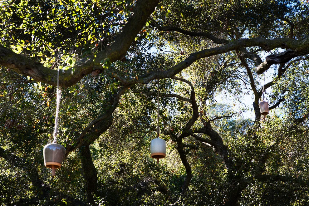 Topanga Retreat by Campion Walker Landscapes - Photo 12