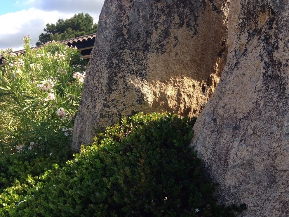 Corsica by Campion Walker Landscapes - Photo 4