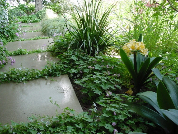Bel Air Garden by Campion Walker Landscapes - Photo 6