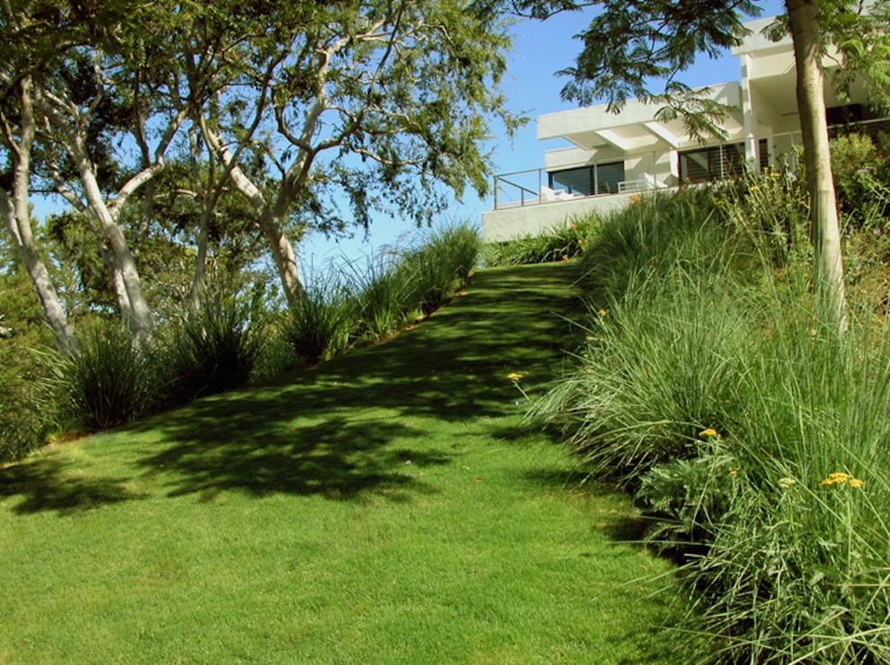 Bel Air Garden by Campion Walker Landscapes - Photo 13
