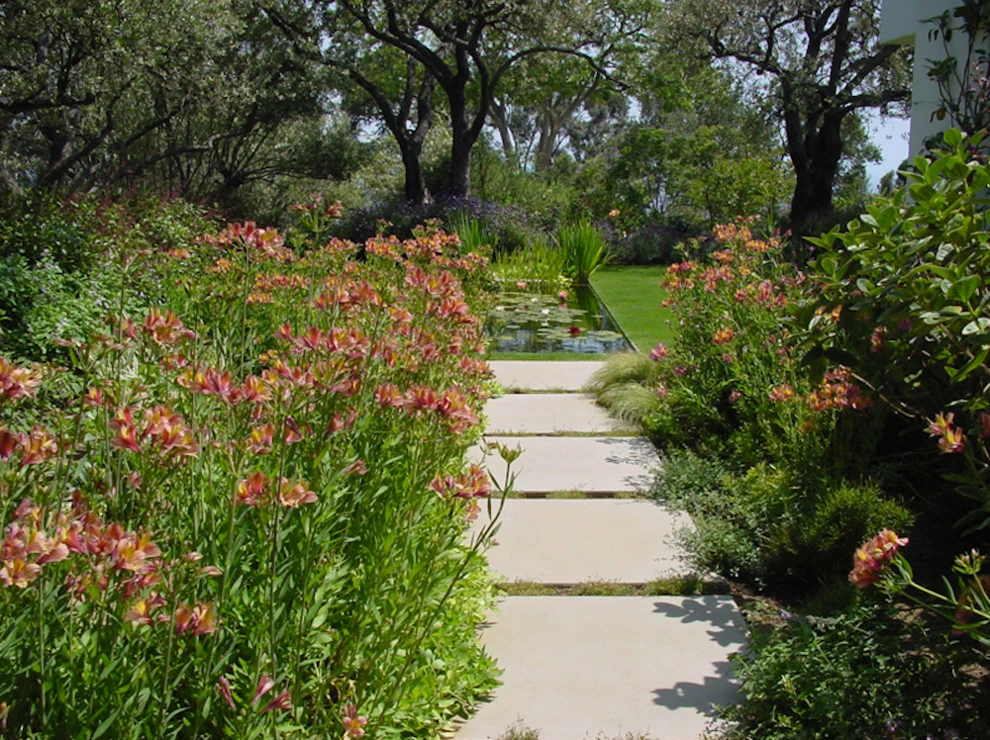 Bel Air Garden by Campion Walker Landscapes - Photo 2