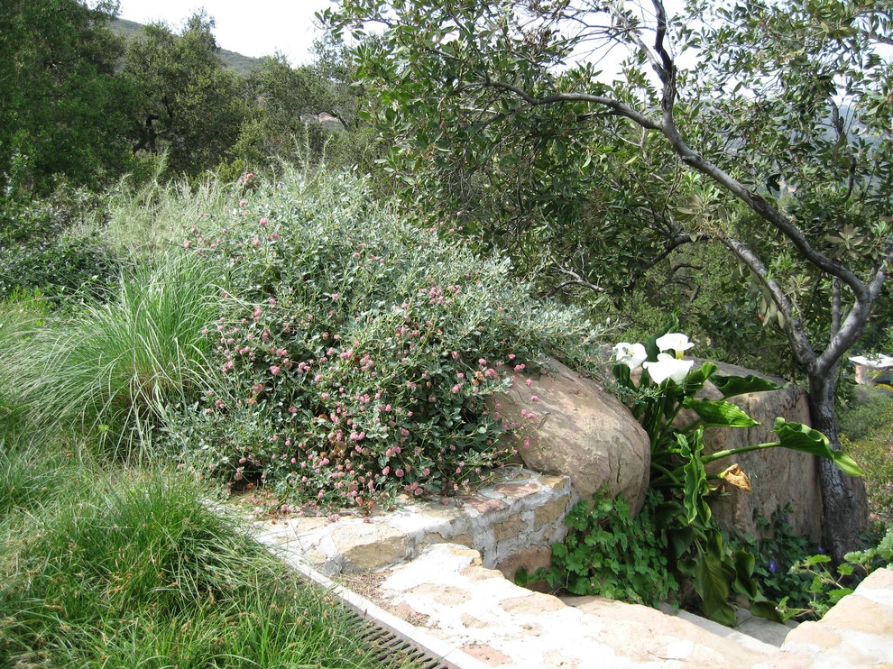 Hillside Garden by Campion Walker Landscapes - Photo 4