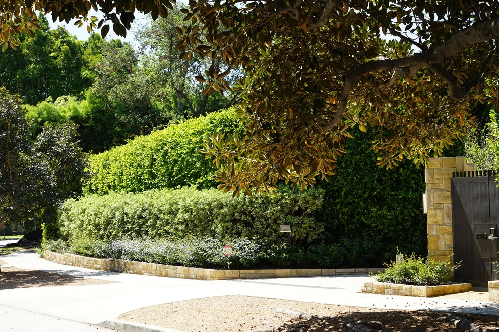 Modern Tranquility by Campion Walker Landscapes - Photo 10