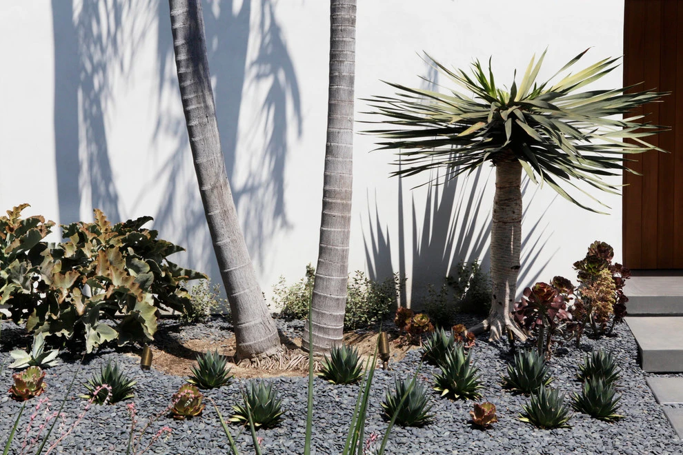 Hollywood by Campion Walker Landscapes - Photo 5