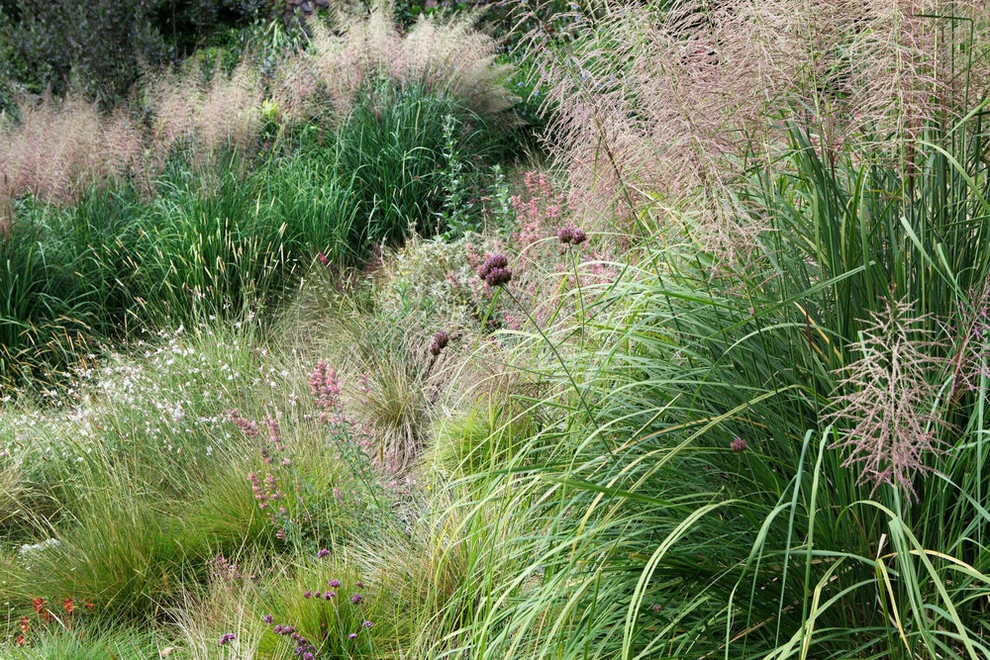 Topanga Retreat by Campion Walker Landscapes - Photo 20