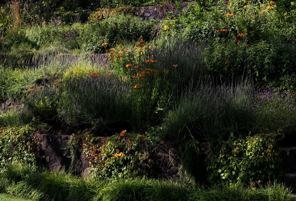 Campion Walker Landscapes - Photo 2