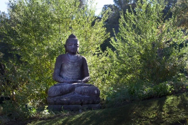 Topanga Retreat by Campion Walker Landscapes - Photo 11