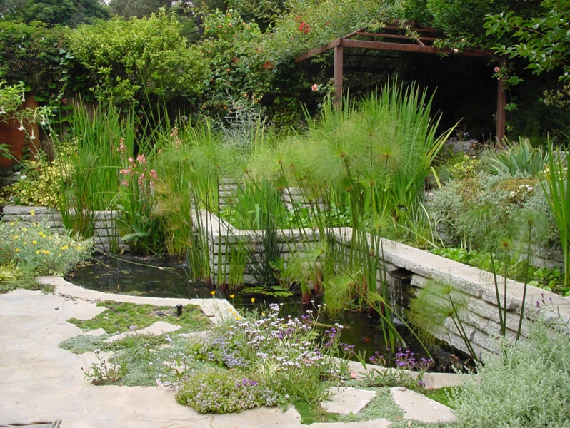 Rustic Canyon Garden by Campion Walker Landscapes - Photo 4