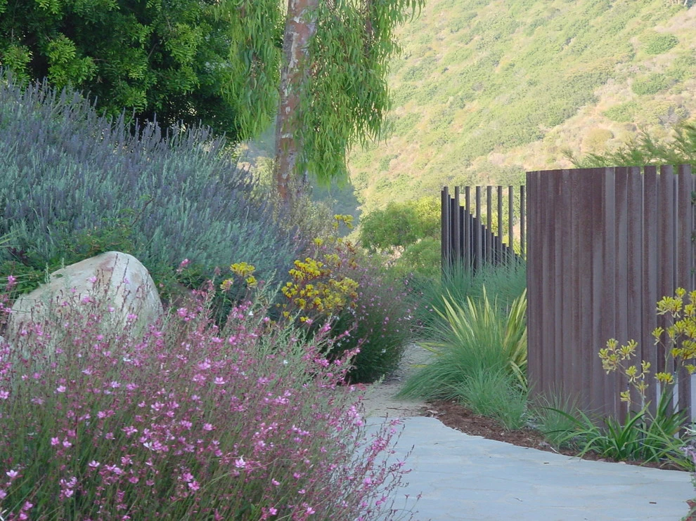 Malibu by Campion Walker Landscapes - Photo 13