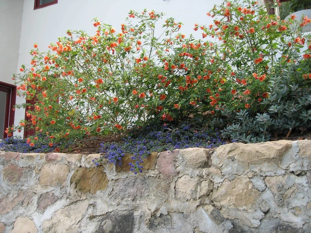 Hillside Garden by Campion Walker Landscapes - Photo 2