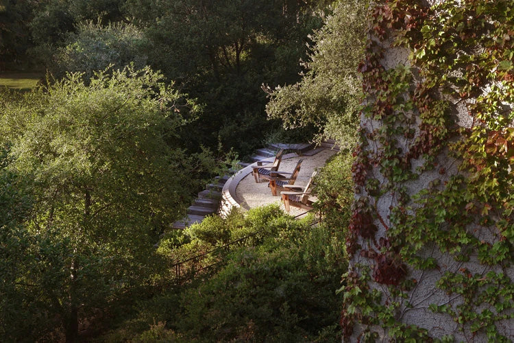 Modern Tranquility by Campion Walker Landscapes - Photo 13