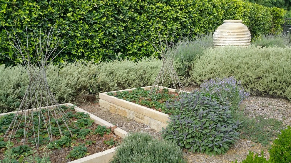 Modern Tranquility by Campion Walker Landscapes - Photo 17