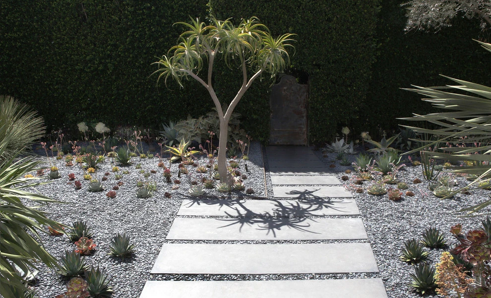Hollywood by Campion Walker Landscapes - Photo 4
