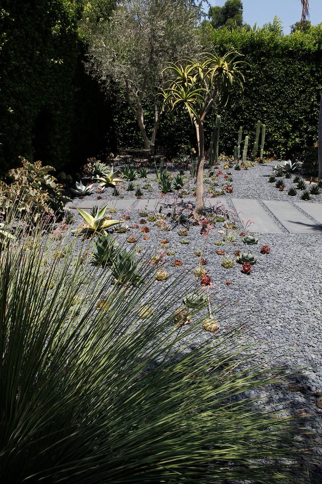 Hollywood by Campion Walker Landscapes - Photo 6