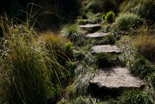 Topanga Retreat by Campion Walker Landscapes - Photo 2