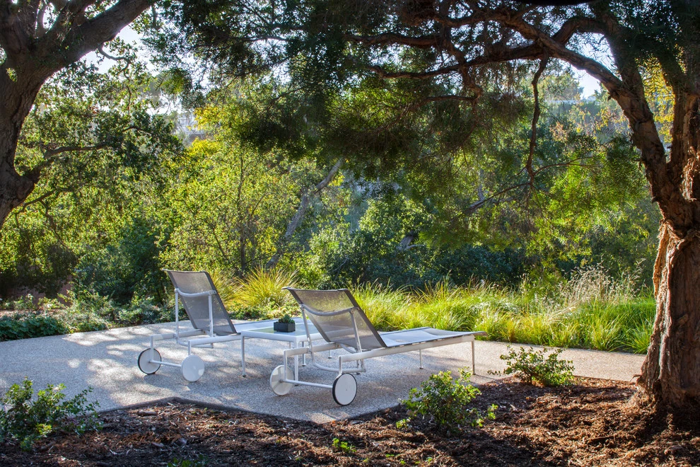 Latimer Road Project by Campion Walker Landscapes - Photo 6
