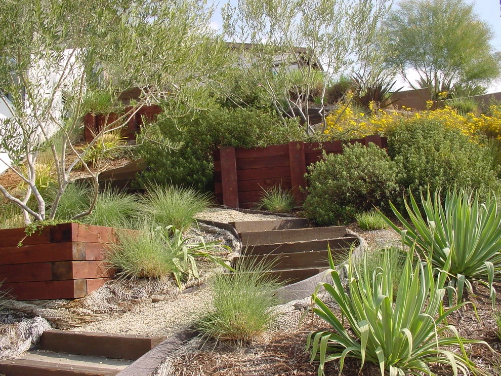 Pacific Palisades by Campion Walker Landscapes - Photo 2