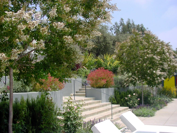 Bel Air Garden by Campion Walker Landscapes - Photo 11