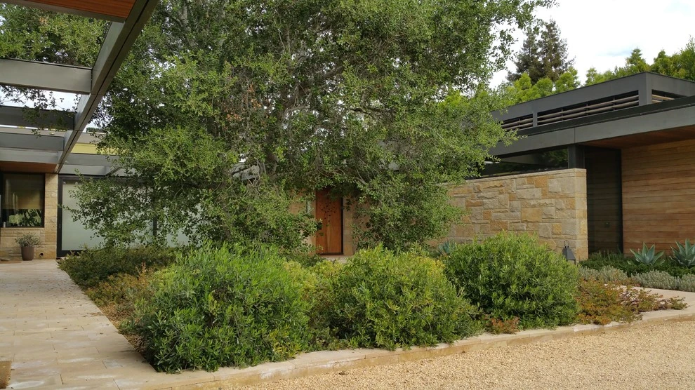Modern Tranquility by Campion Walker Landscapes - Photo 16
