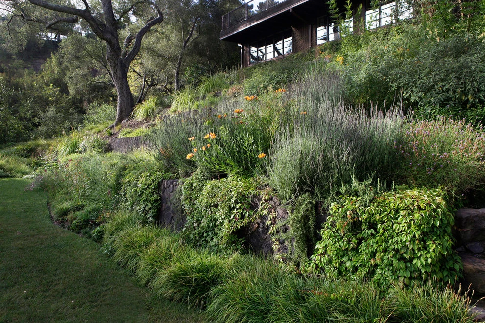 Topanga Retreat by Campion Walker Landscapes - Photo 17