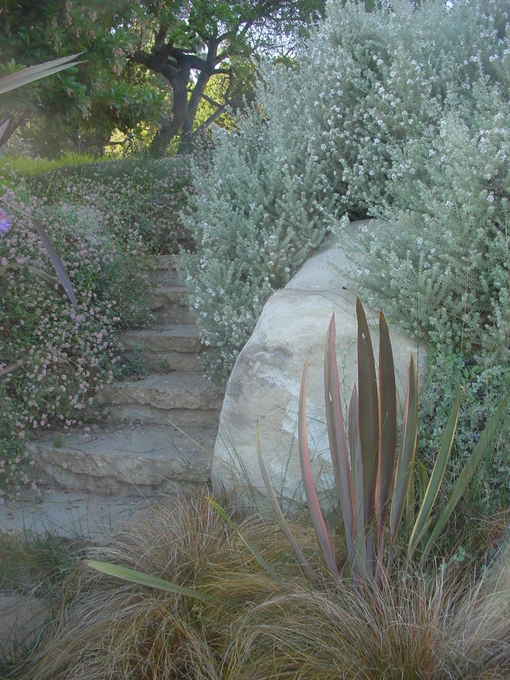 Malibu by Campion Walker Landscapes - Photo 7