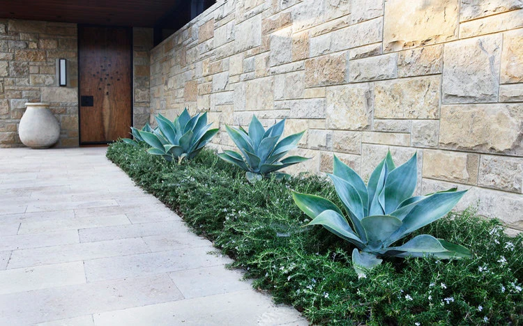 Modern Tranquility by Campion Walker Landscapes - Photo 5
