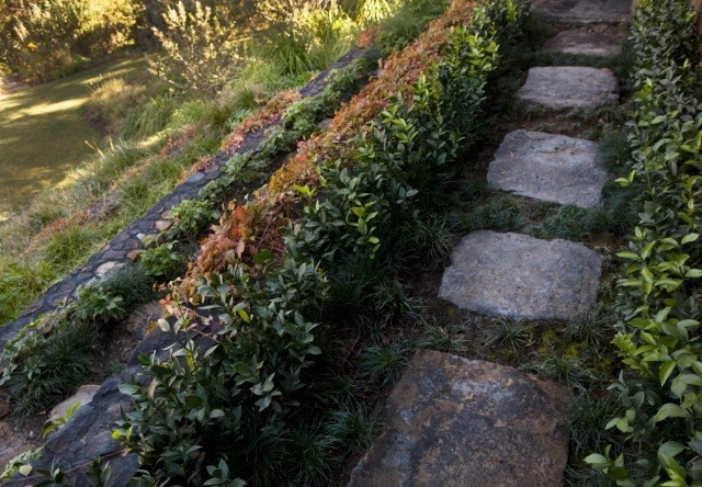 Topanga Retreat by Campion Walker Landscapes - Photo 13